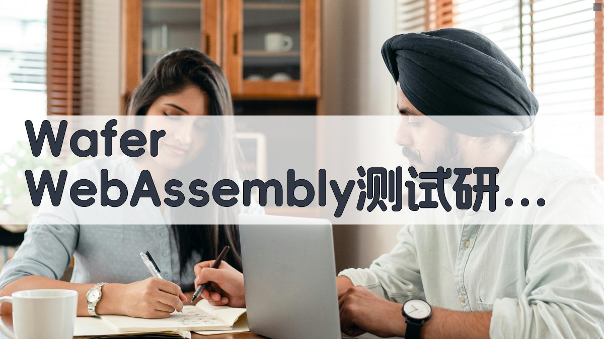 Wafer WebAssembly测试研究助手